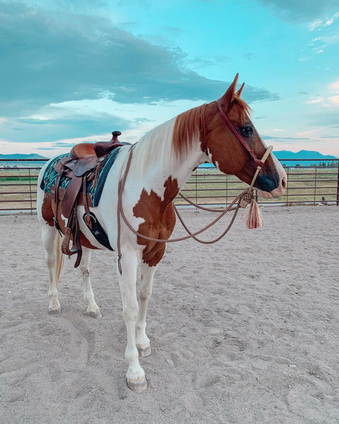 Yacht Rope Mecate Reins