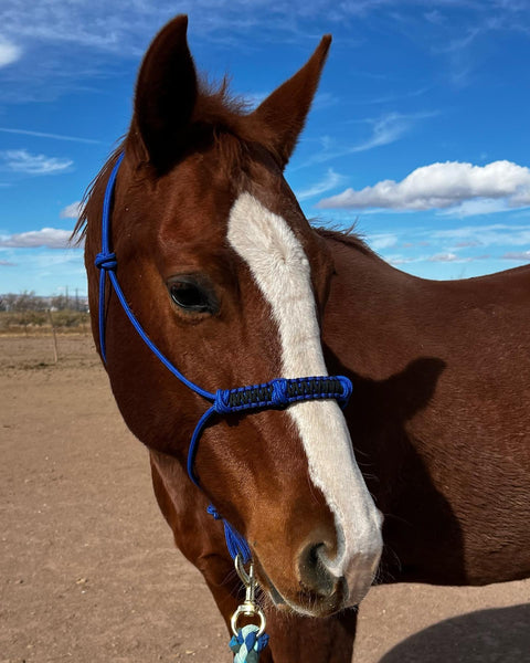 4 Knot Yacht Rope Clinician Halter Braided Noseband