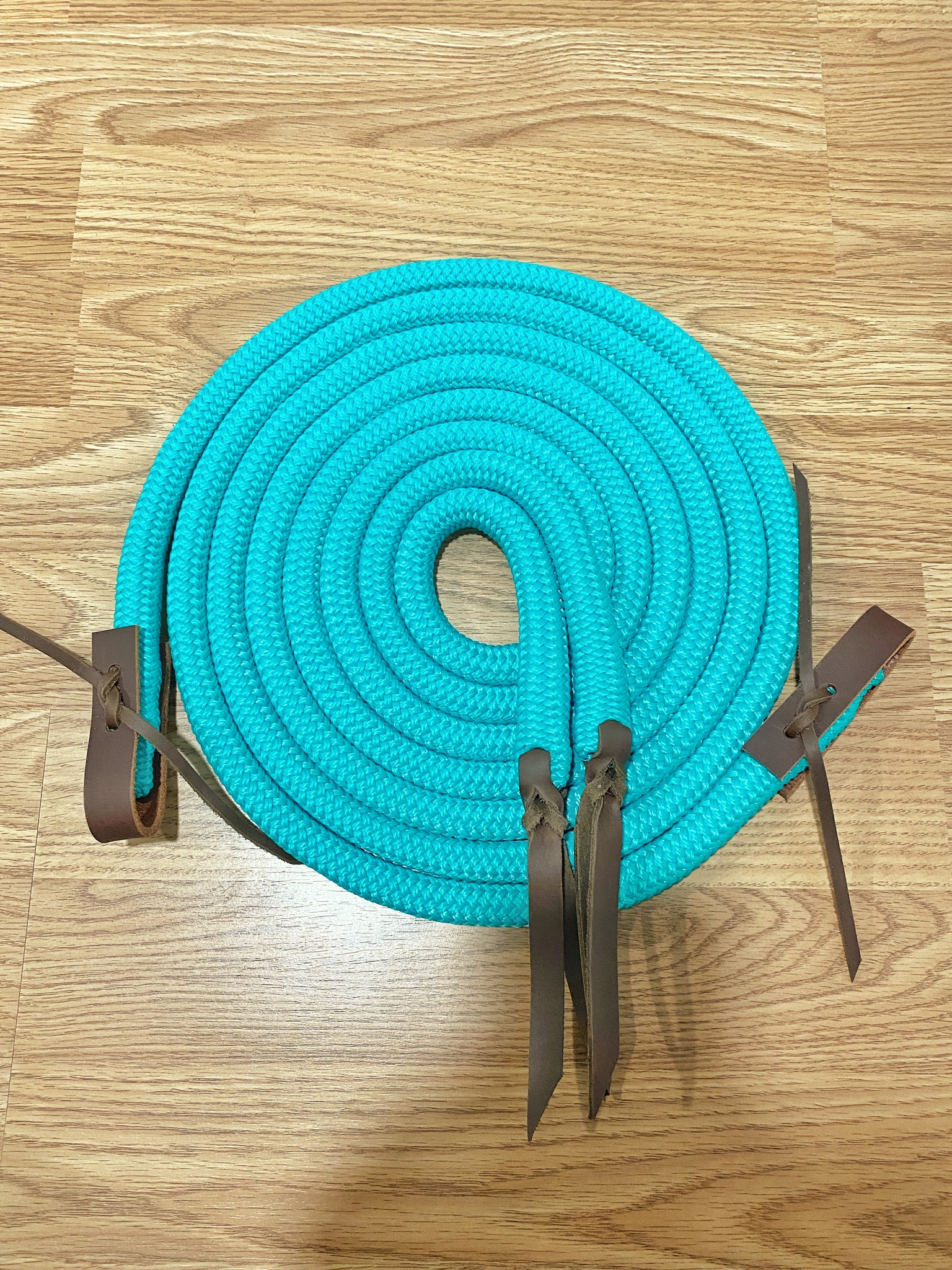 Split Reins with Plain Water Loops