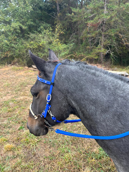 Finesse Style Loop Reins