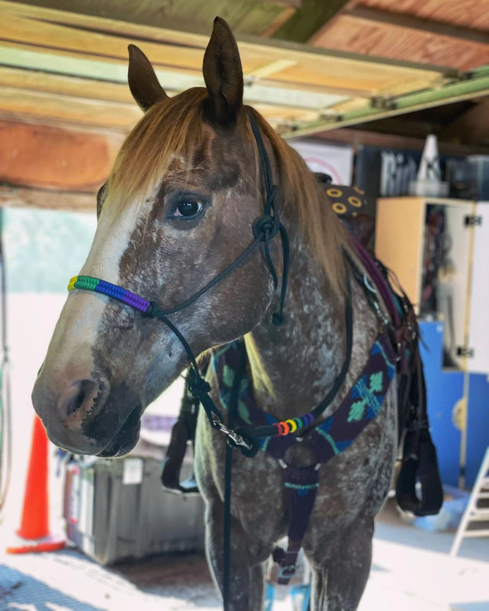 Pride Flag Lead Rope – Counter Canter Designs