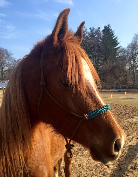 2 Knot Rope Halter w/ Braided Noseband