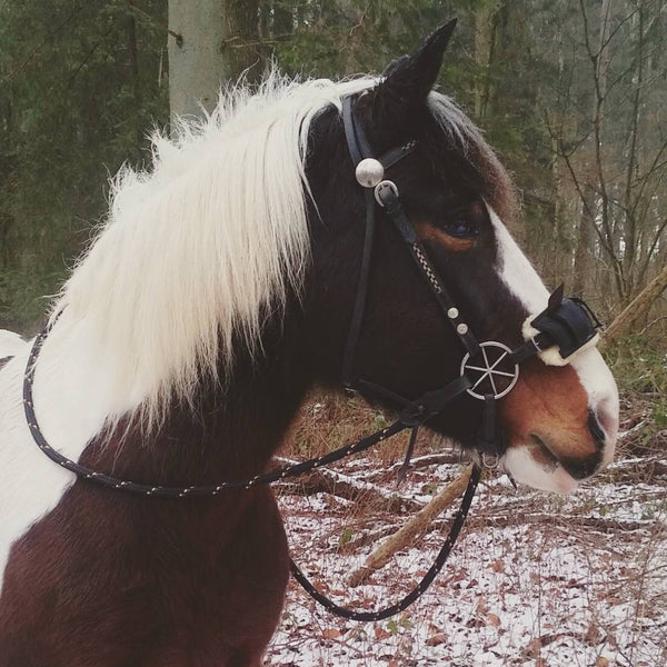 Yacht Rope Clinician Loop Reins