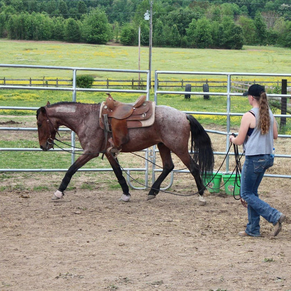 Long Lines/Ground Driving Reins