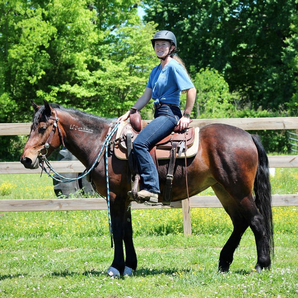 Split Reins with Snaps & Water Loops