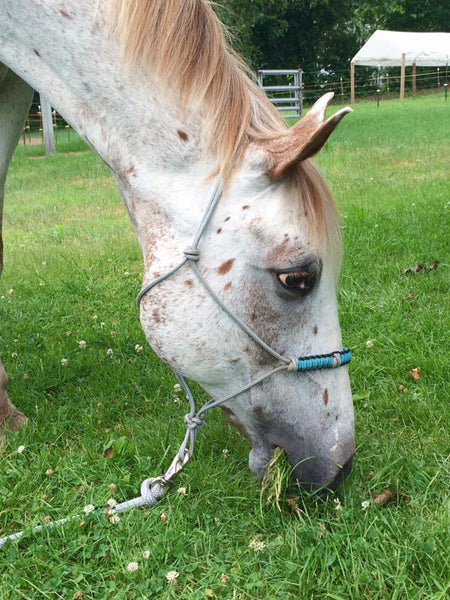 4 Knot Rope Halter w/ Braided Noseband