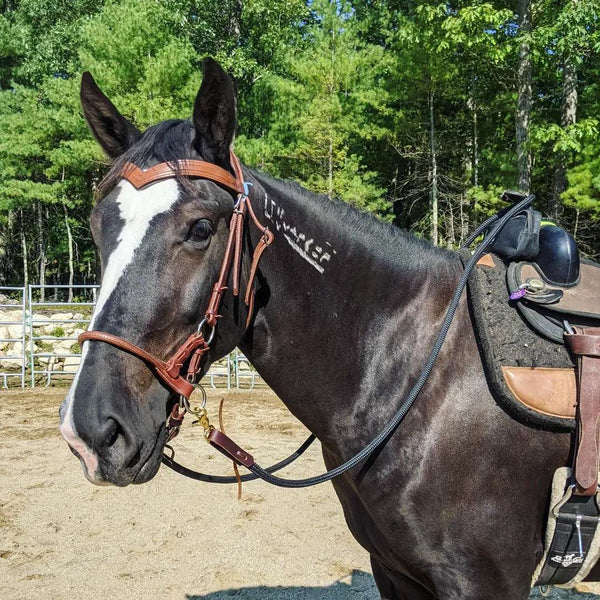 Loop Reins with Snaps & Water Loops