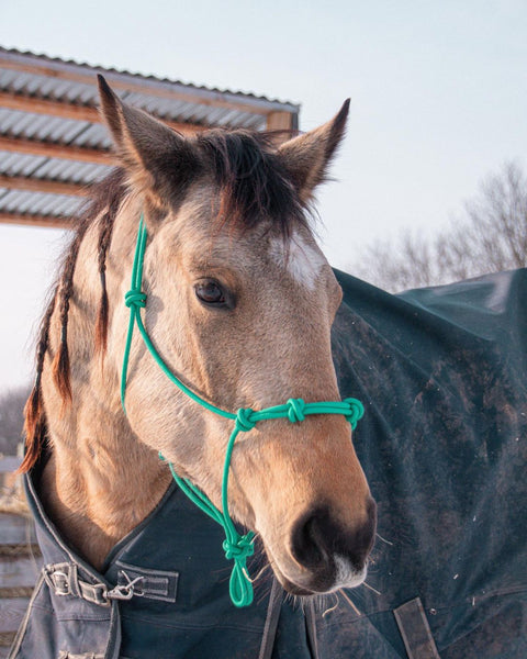 4 Knot Rope Halter