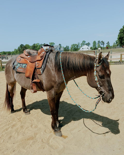 Loop Reins with Snaps & Water Loops