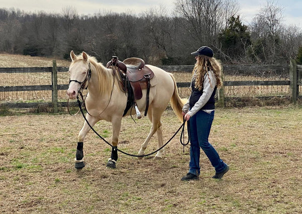 Rope Halter & 12' Lead Rope Set