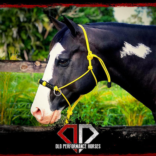 Yacht rope sidepull halter braided noseband