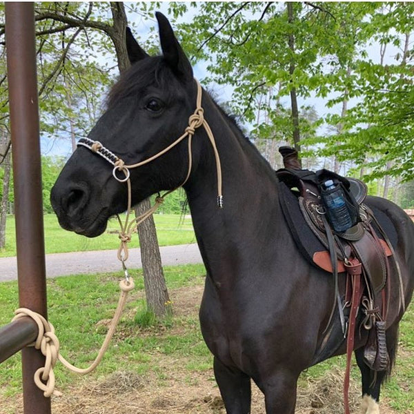 Yacht rope sidepull halter braided noseband