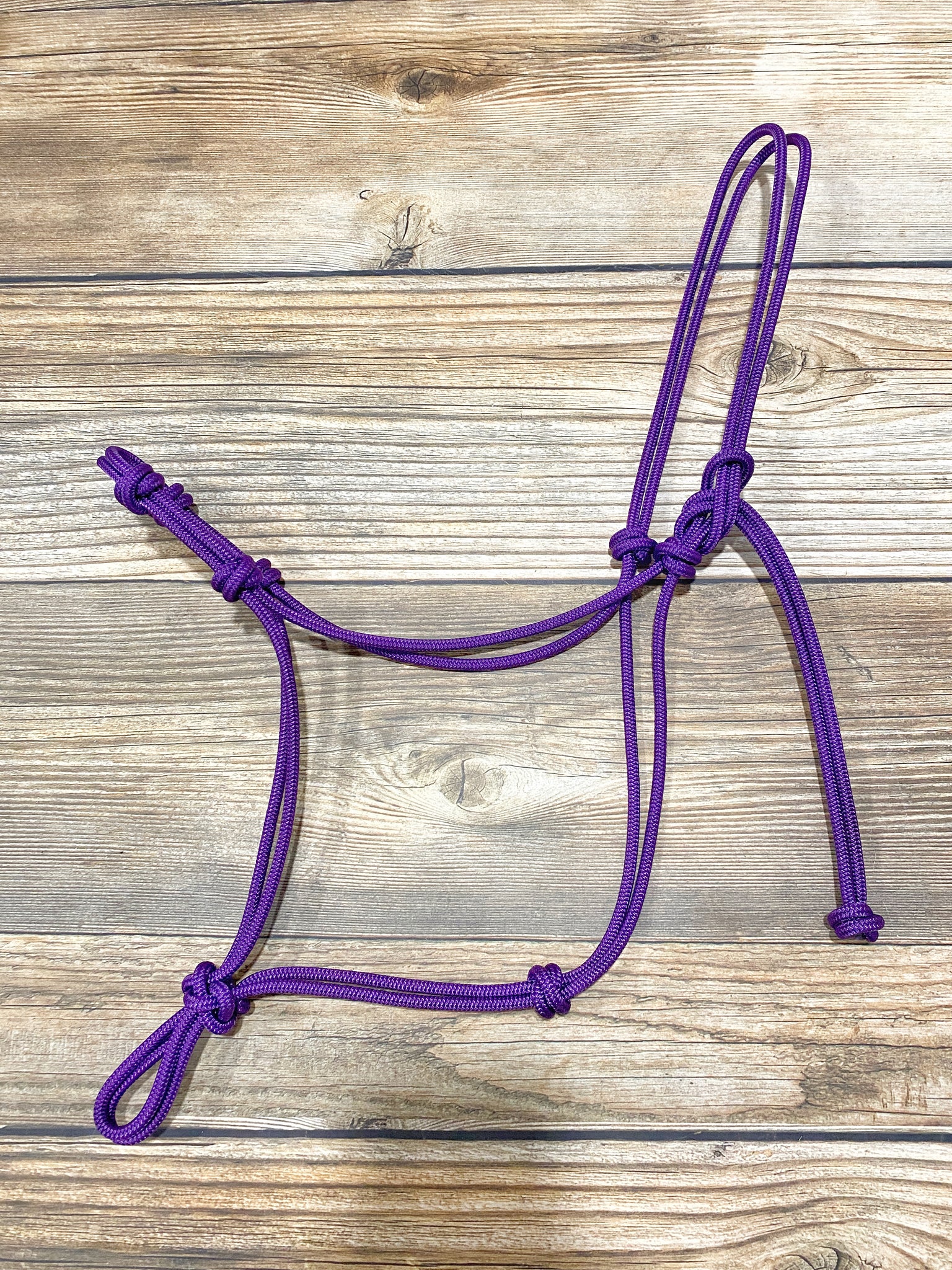 4 Knot Yacht Rope Clinician Halter
