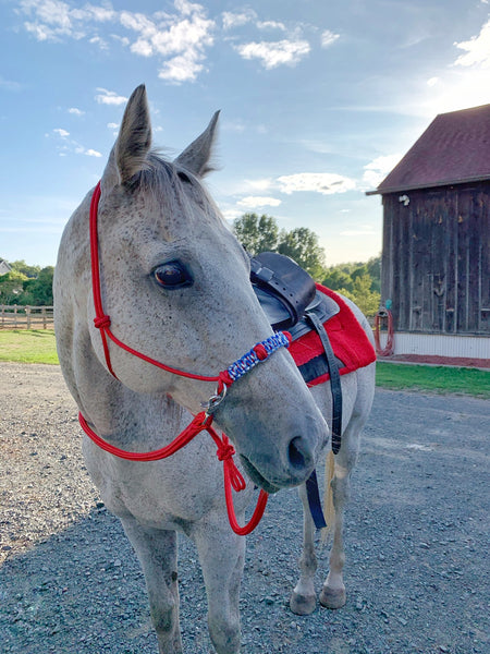Yacht rope sidepull halter braided noseband