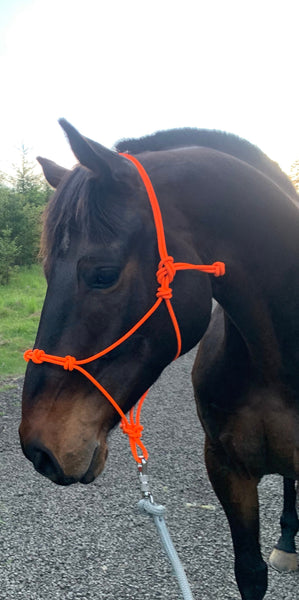 4 Knot Yacht Rope Clinician Halter