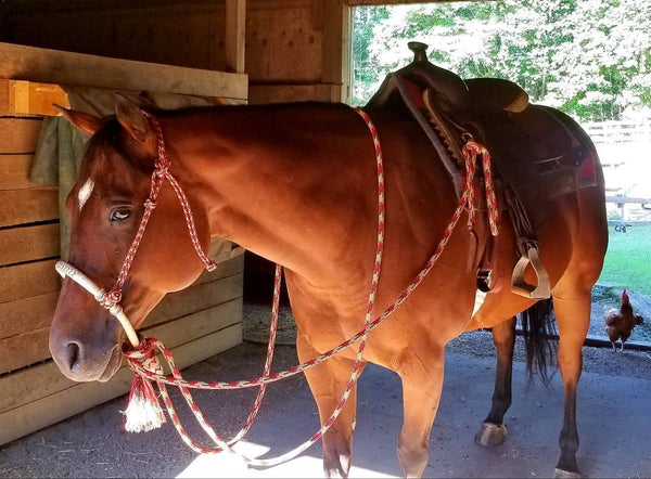 Quick Change Yacht Rope Headstall