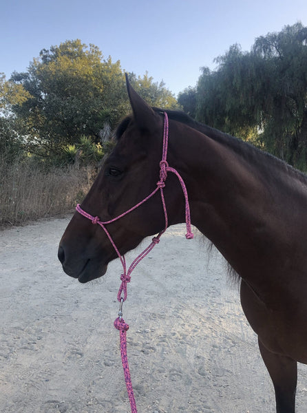 2 Knot Yacht Rope Clinician Halter