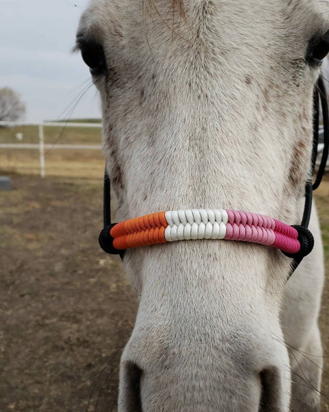 Pride Flag Rope Horse Halter