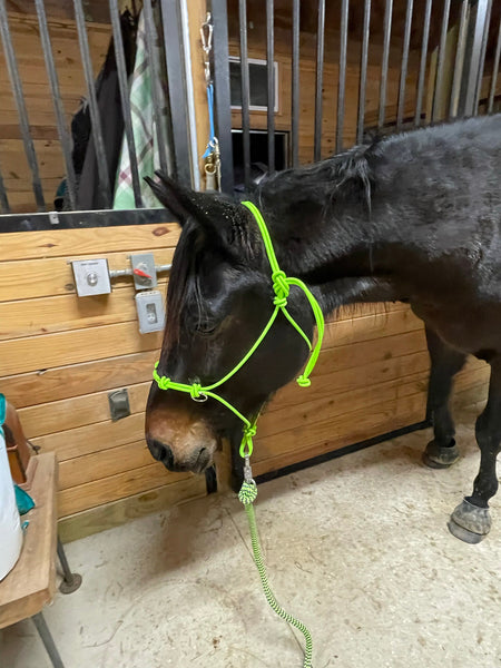 Yacht rope sidepull halter