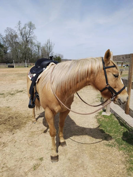 Finesse Style Loop Reins