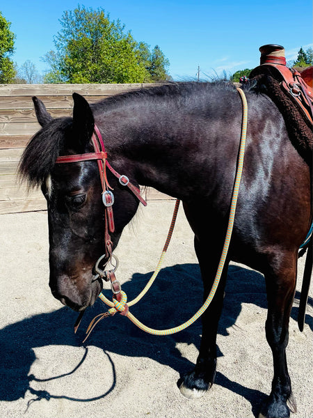 Clinician yacht rope sport reins