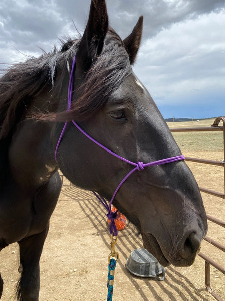 Soft yacht rope clinician halter