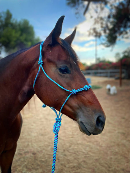 Clinician Yacht Rope Halter & 12 Foot Lead Rope