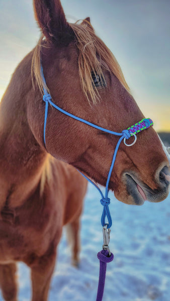 Yacht rope sidepull halter braided noseband