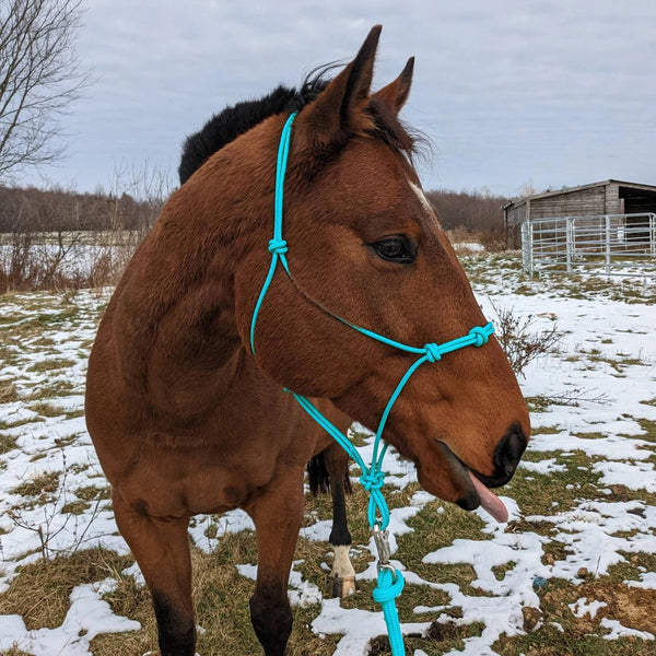 4 Knot Rope Halter