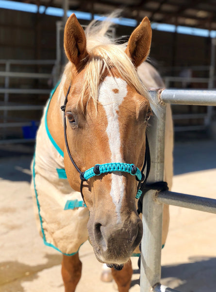 4 Knot Rope Halter w/ Braided Noseband