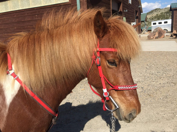 2 Knot Rope Halter w/ Braided Noseband