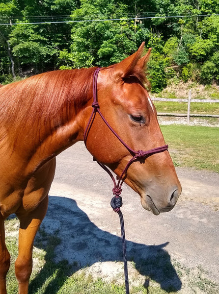 2 Knot Rope Halter